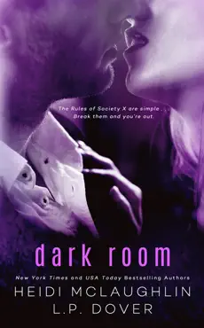 dark room book cover image