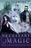 Necessary Magic synopsis, comments