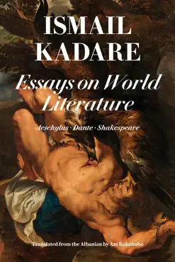 essays on world literature book cover image