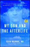 My Son and the Afterlife synopsis, comments