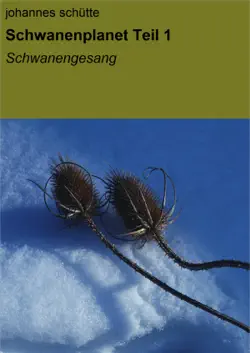schwanenplanet book cover image