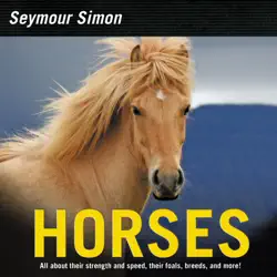horses book cover image