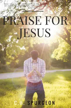 praise for jesus book cover image