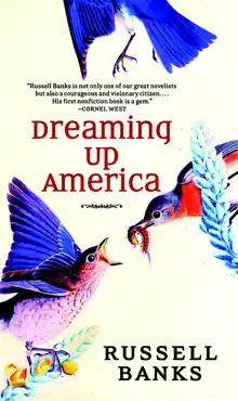 dreaming up america book cover image