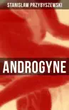 ANDROGYNE synopsis, comments