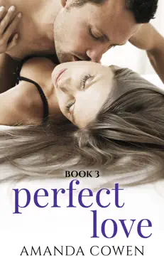 perfect love - book three book cover image