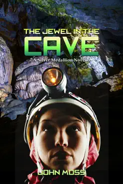 the jewel in the cave book cover image