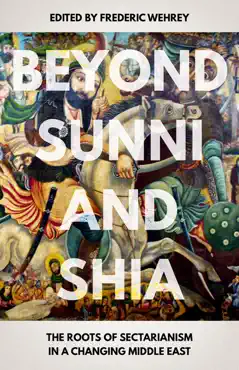 beyond sunni and shia book cover image