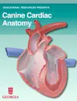 Canine Cardiac Anatomy synopsis, comments