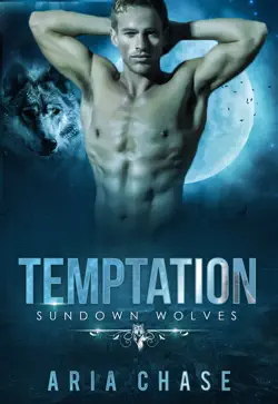 temptation book cover image