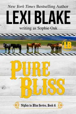 pure bliss, nights in bliss, colorado, book 6 book cover image