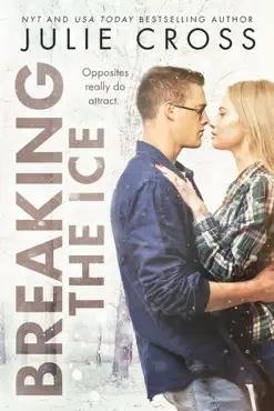 breaking the ice book cover image