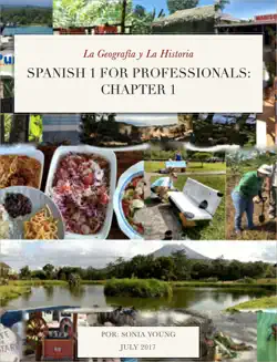 spanish 1 for professionals: book cover image