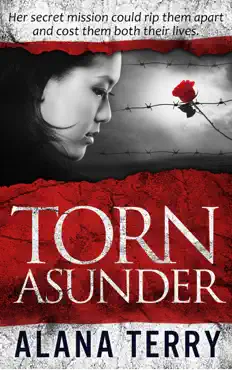 torn asunder book cover image