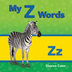 my z words book cover image