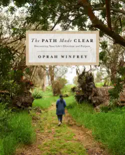 the path made clear book cover image