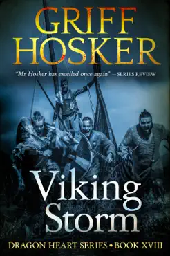 viking storm book cover image