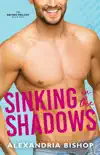 Sinking in the Shadows synopsis, comments