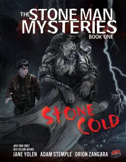 stone cold book cover image