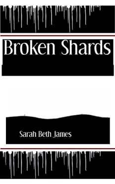 broken shards book cover image
