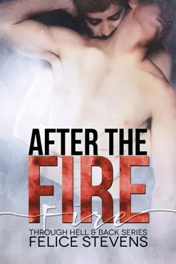 after the fire book cover image