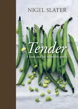 tender book cover image