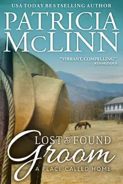 lost and found groom book cover image