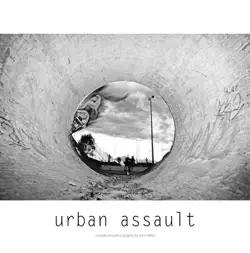 urban assault book cover image