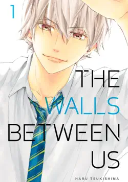 the walls between us volume 1 book cover image