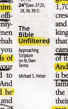 the bible unfiltered book cover image