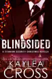 Blindsided: A Titanium Security Christmas Novella sinopsis y comentarios