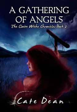 a gathering of angels book cover image