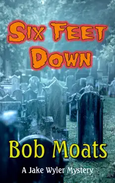 six feet down book cover image