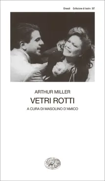 vetri rotti book cover image