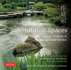 infinite spaces book cover image