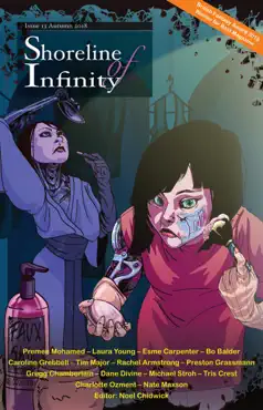 shoreline of infinity 13 book cover image