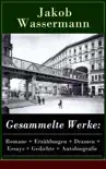 Gesammelte Werke: Romane + Erzählungen + Dramen + Essays + Gedichte + Autobiografie sinopsis y comentarios