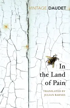 in the land of pain imagen de la portada del libro