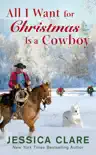 All I Want for Christmas Is a Cowboy synopsis, comments