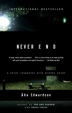 never end book cover image