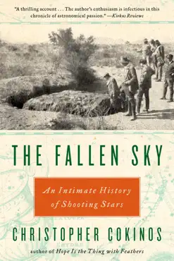 the fallen sky book cover image