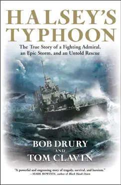 halsey's typhoon book cover image