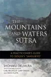The Mountains and Waters Sutra synopsis, comments