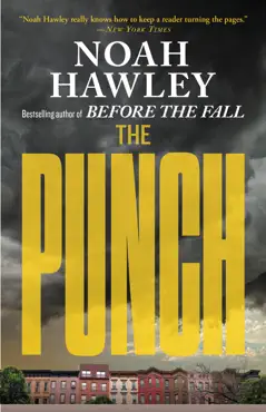 the punch book cover image