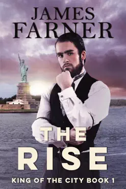 the rise book cover image