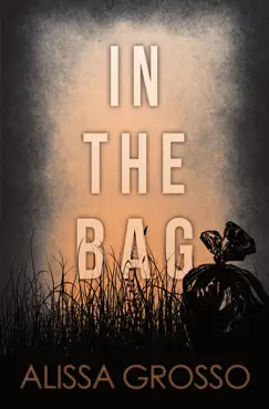 in the bag book cover image