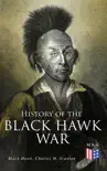 History of the Black Hawk War synopsis, comments