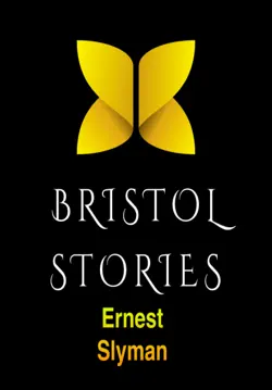 bristol stories book cover image