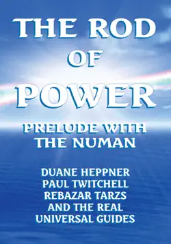 the rod of power book cover image