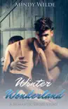 Winter Wonderland (A Romantic Short Story) sinopsis y comentarios